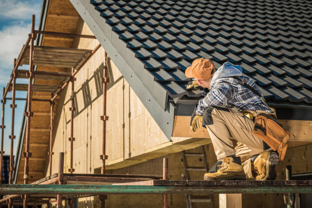 Best Roof Maintenance Services  in Mount Plymouth, FL