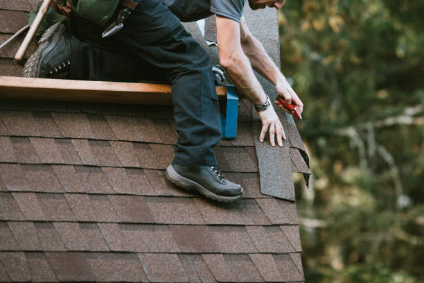 Roof Gutter Cleaning in Mount Plymouth, FL