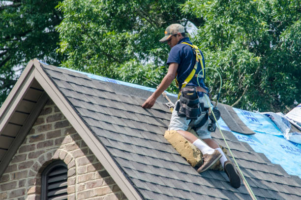 Roof Waterproofing Services in Mount Plymouth, FL